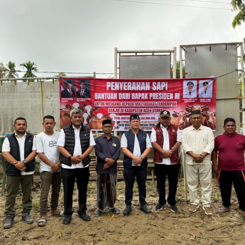 Foto: Bupati Aceh Utara H. Ismail A Jalil, MM atau yang akrab di sapa Ayah Wa menyerahkan secara simbolis sapi meugang. Bantuan dari Presiden Prabowo sebesar Rp19,55 miliar untuk pembelian 1.109 ekor sapi