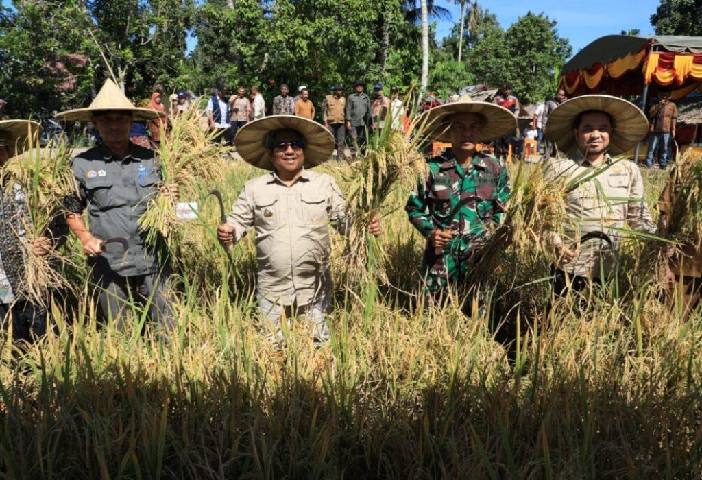 FOTO:  Penjabat Bupati Aceh Utara Dr Drs Mahyuzar, MSi, bersama sejumlah pejabat setempat melakukan panen padi di Gampong Leuhong Kecamatan Paya Bakong