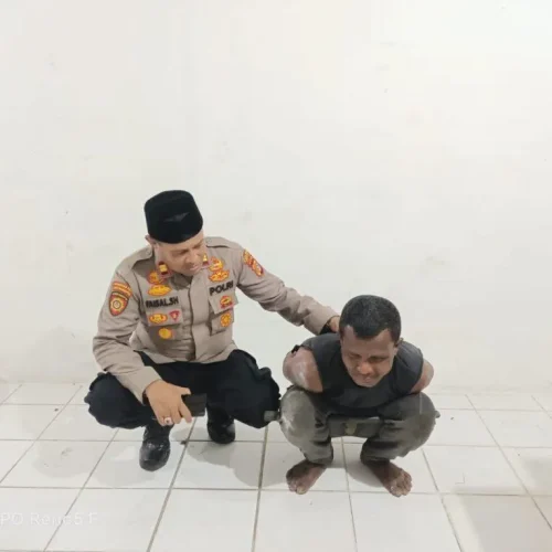 Foto: Kepolisian Resor Lhokseumawe Sektor Dewantara berhasil melakukan penangkapan terhadap terduga pelaku pemerkosaan terhadap seorang anak di bawah umur di Dewantara, Kabupaten Aceh Utara, selasa (19/3/2024) siang.