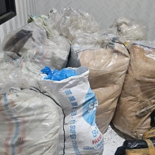 Foto: BB Ganja Kering sebanyak 300 Kg