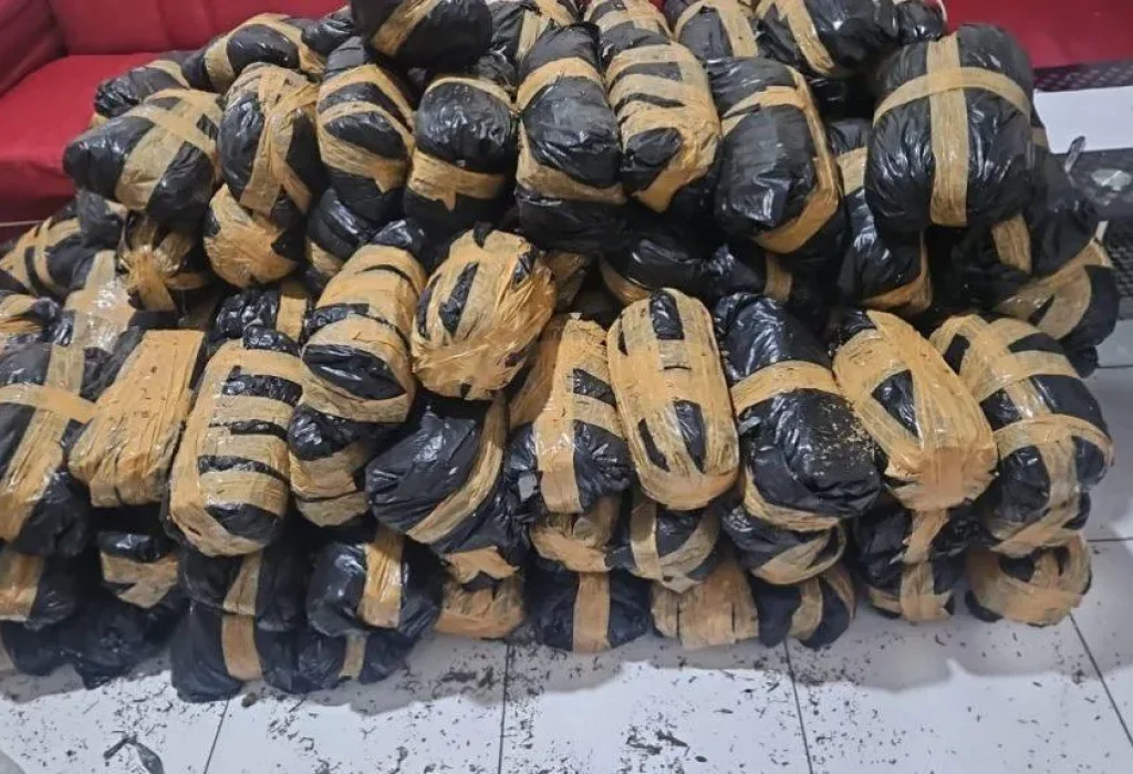 Foto: Barang Bukti Kepolisian, Ganja Kering 300 Kg siap edar