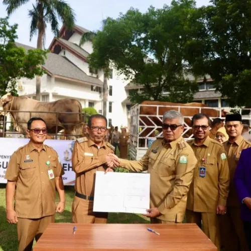 Foto: Penjabat Gubernur Aceh, Bustami, SE, M.Si., didampingi Penjabat Sekretaris Daerah Aceh, Azwardi AP, M.Si., menyerahkan hewan kurban bantuan Presiden RI kepada Pemerintah Kabupaten Pidie Jaya, yang diterima PJ Bupati, Ir. Jailani, di Halaman Kantor Gubernur Aceh, Selasa, 11/6/2024.