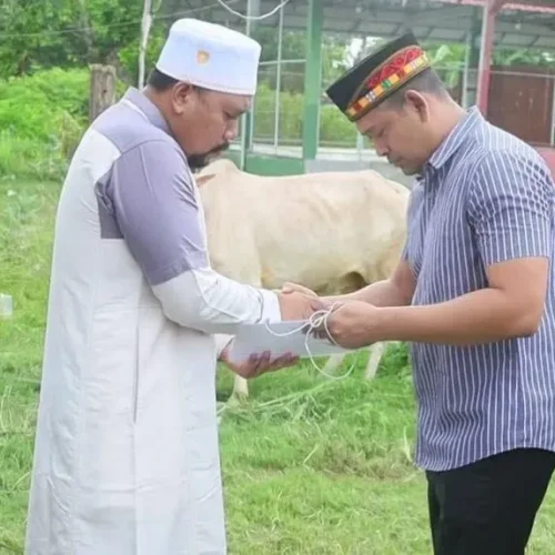 Foto: Kapolres Lhokseumawe AKBP Henki Ismanto, S.I.K menggelar acara penyerahan 4 ekor hewan qurban kepada Pesantren QAHA di Desa Tumpok Teungoh, Kecamatan Banda Sakti, Kota Lhokseumawe,
