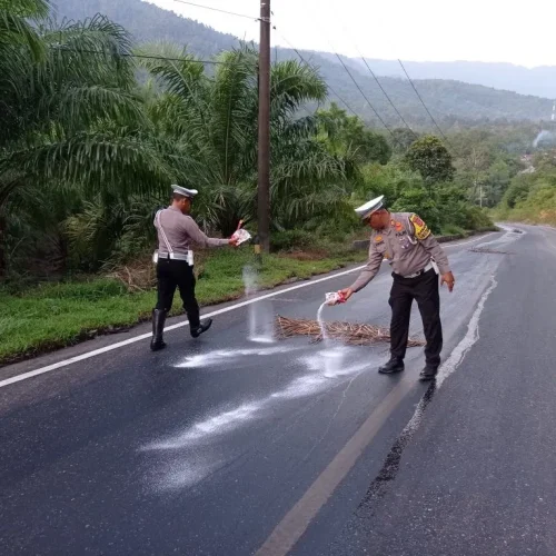 Foto: Tumpahan minyak mentah sawit atau crude palm oil (CPO) menggenangi ruas jalan nasional Tapaktuan-Subulussalam, tepatnya di Gunung Kapur, Trumon Tengah, Kabupaten Aceh Selatan