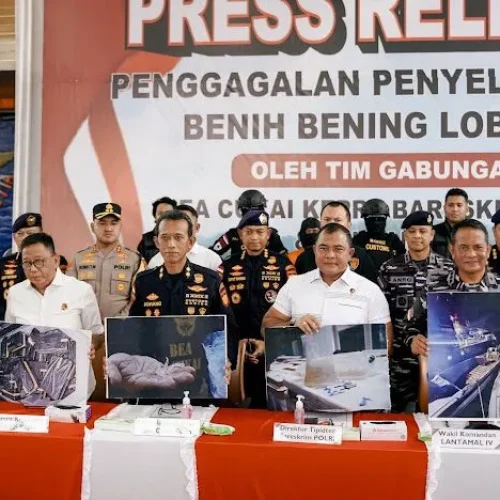 Foto: Tim gabungan Direktorat Tindak Pidana Tertentu (Dittipidter) Bareskrim Polri bersama Kantor Wilayah Khusus Direktorat Jenderal Bea dan Cukai (Kanwilsus DJBC) Kepulauan Riau berhasil menggagalkan upaya penyelundupan 151.000 benih bening lobster